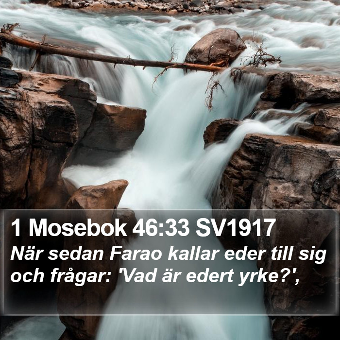 1 Mosebok 46:33 SV1917 Bible Study