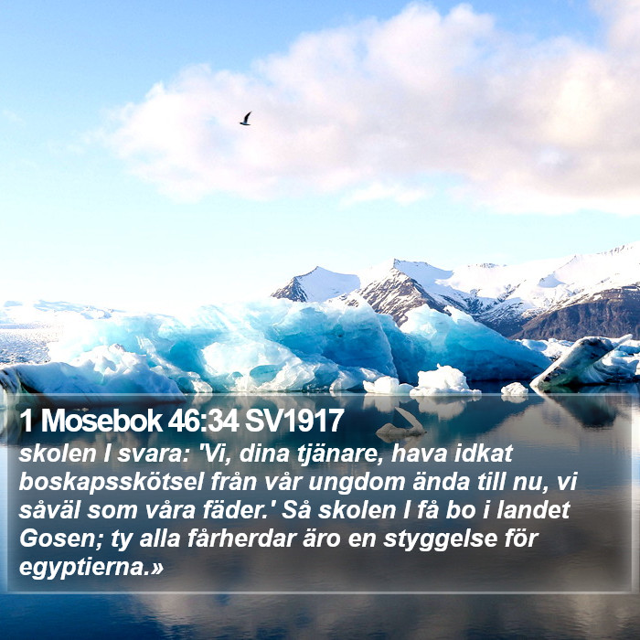 1 Mosebok 46:34 SV1917 Bible Study