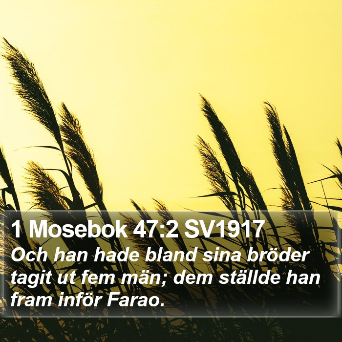 1 Mosebok 47:2 SV1917 Bible Study