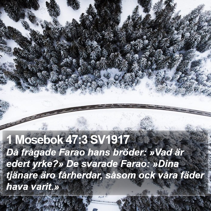 1 Mosebok 47:3 SV1917 Bible Study