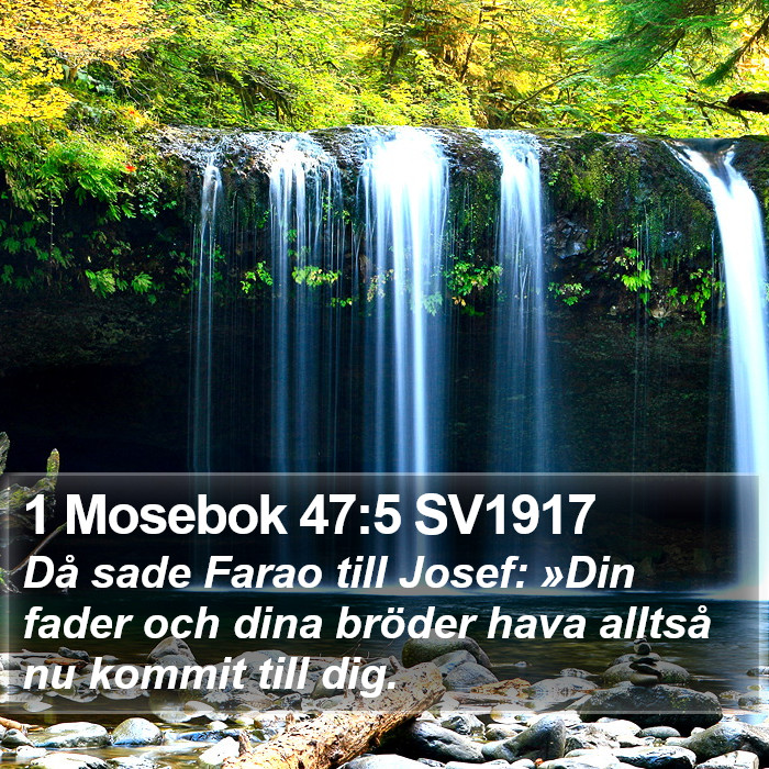 1 Mosebok 47:5 SV1917 Bible Study