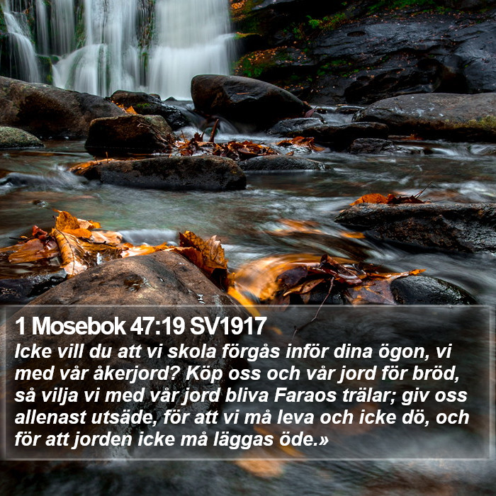 1 Mosebok 47:19 SV1917 Bible Study