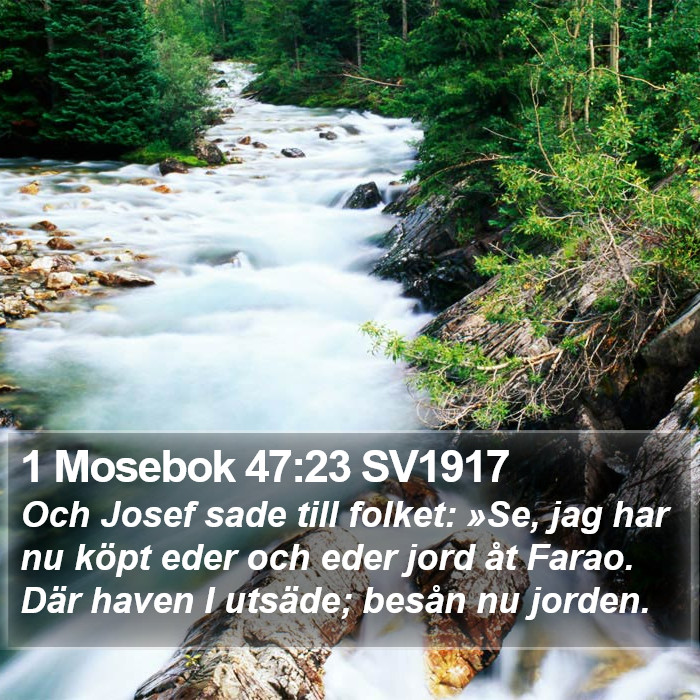 1 Mosebok 47:23 SV1917 Bible Study