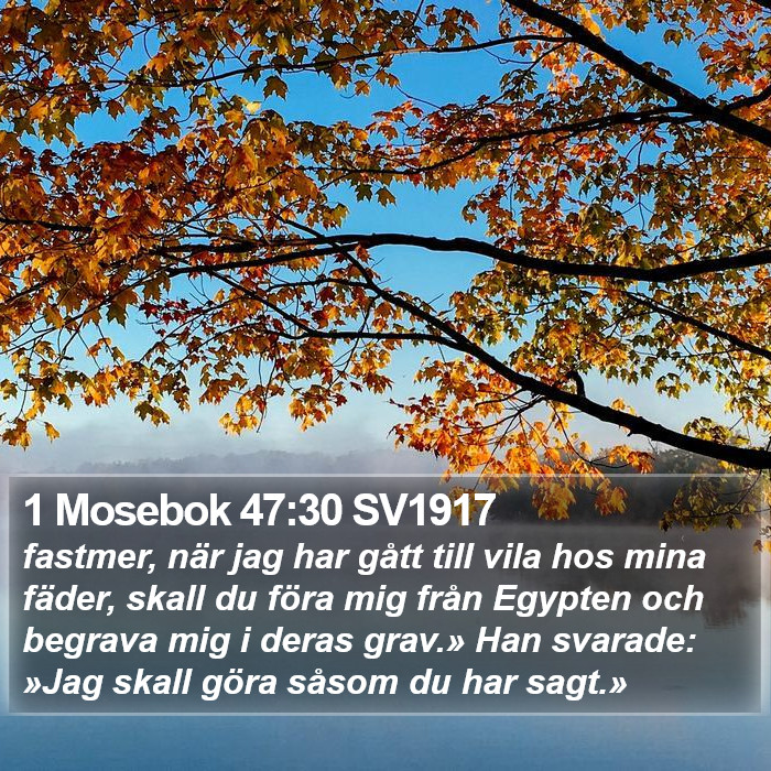 1 Mosebok 47:30 SV1917 Bible Study