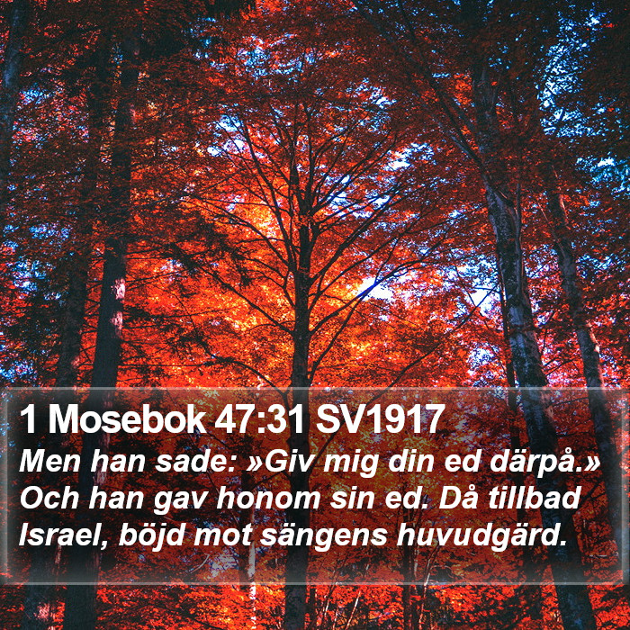 1 Mosebok 47:31 SV1917 Bible Study