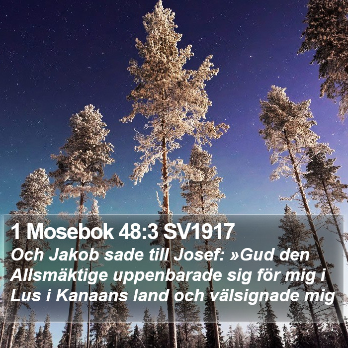 1 Mosebok 48:3 SV1917 Bible Study