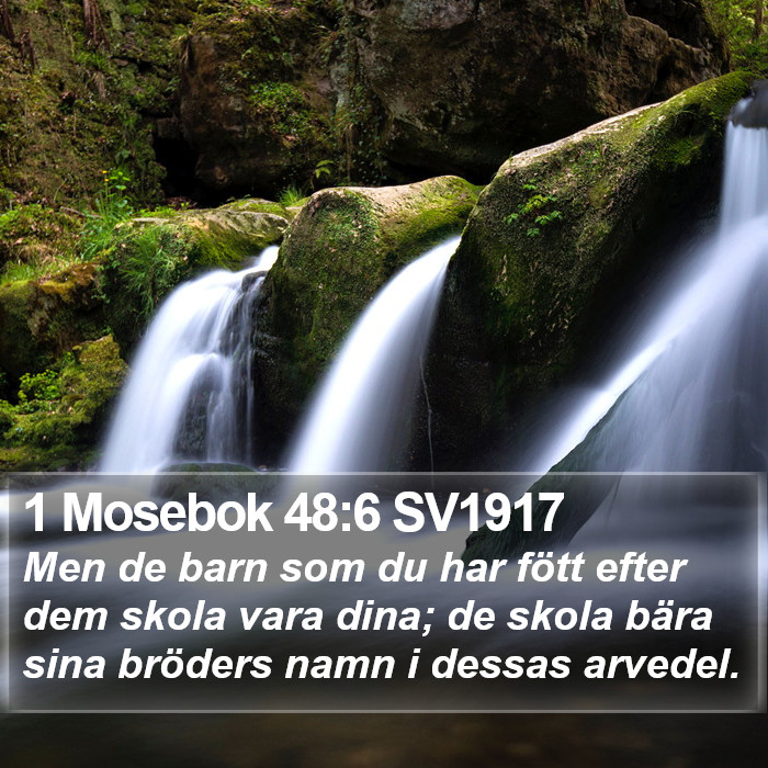 1 Mosebok 48:6 SV1917 Bible Study