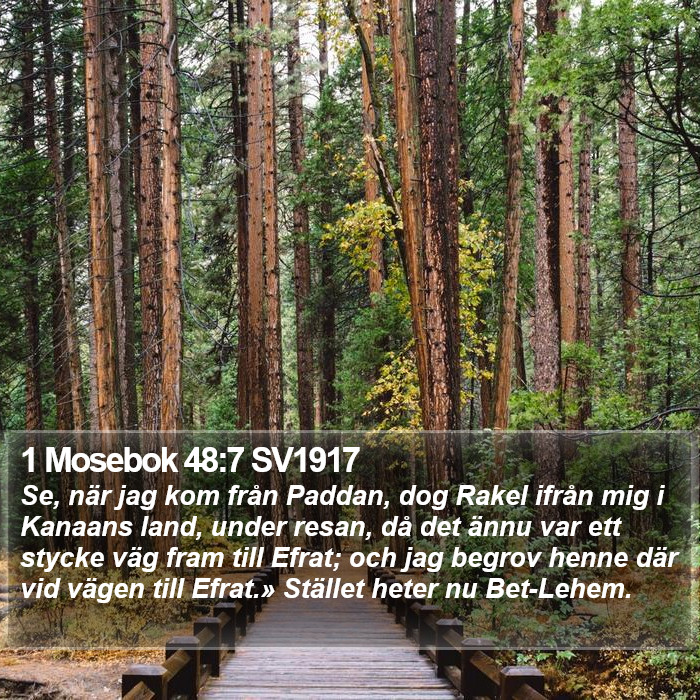 1 Mosebok 48:7 SV1917 Bible Study
