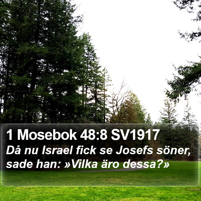 1 Mosebok 48:8 SV1917 Bible Study