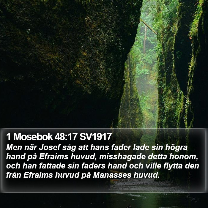 1 Mosebok 48:17 SV1917 Bible Study