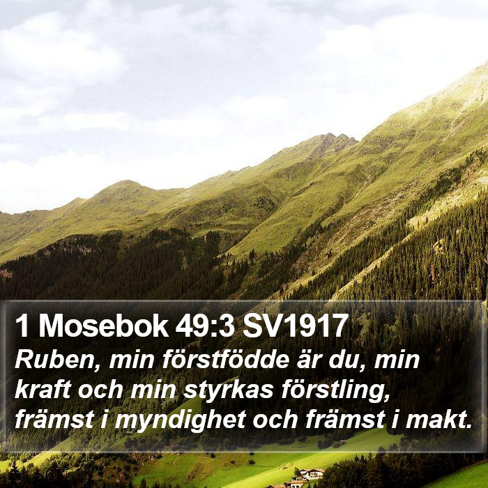 1 Mosebok 49:3 SV1917 Bible Study