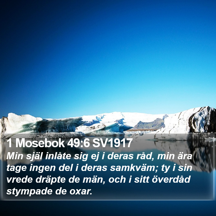 1 Mosebok 49:6 SV1917 Bible Study