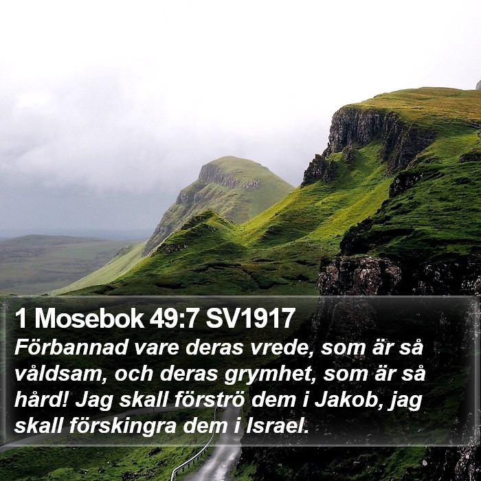 1 Mosebok 49:7 SV1917 Bible Study