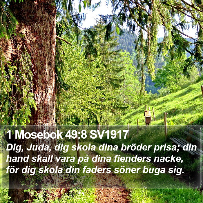 1 Mosebok 49:8 SV1917 Bible Study