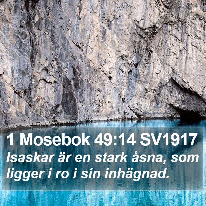 1 Mosebok 49:14 SV1917 Bible Study