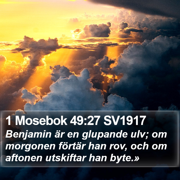 1 Mosebok 49:27 SV1917 Bible Study