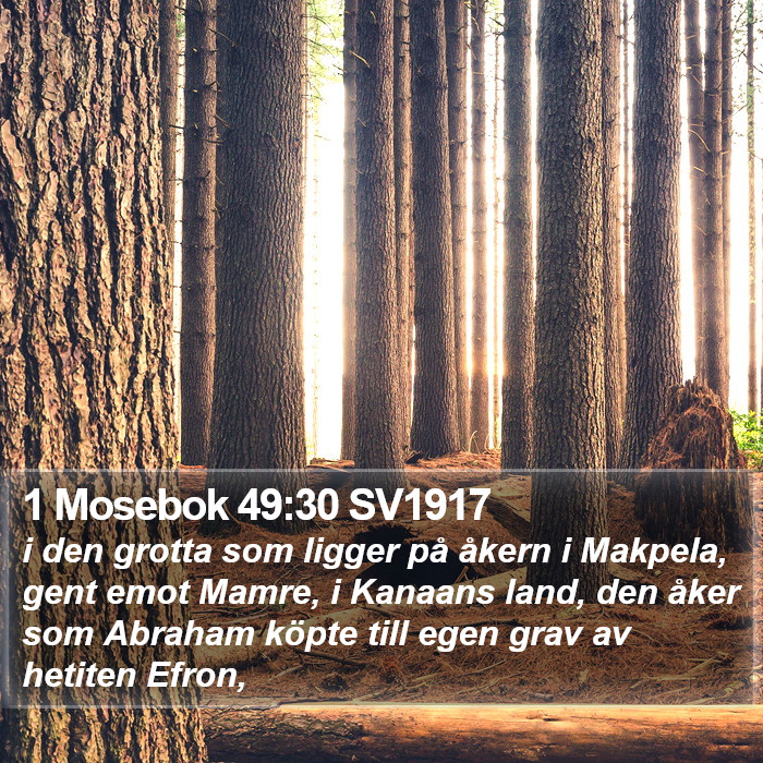 1 Mosebok 49:30 SV1917 Bible Study