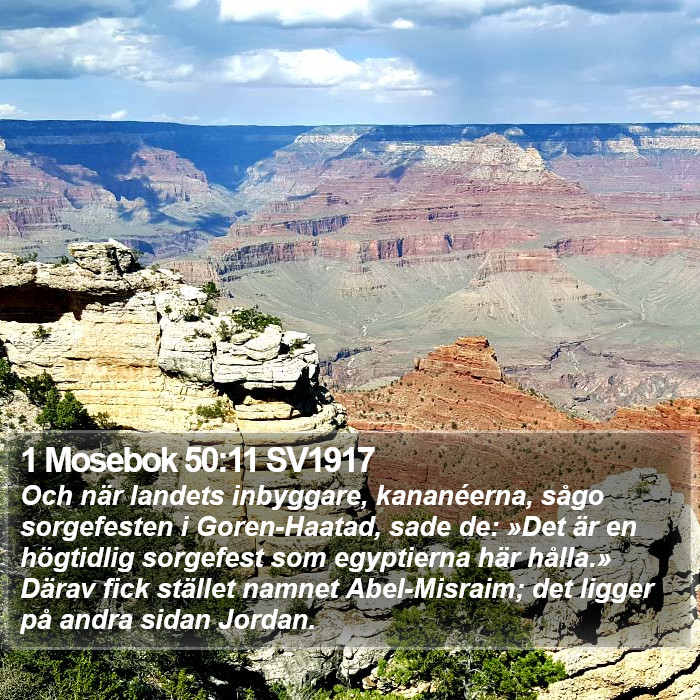 1 Mosebok 50:11 SV1917 Bible Study