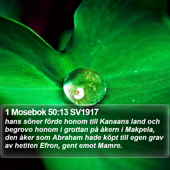 1 Mosebok 50:13 SV1917 Bible Study