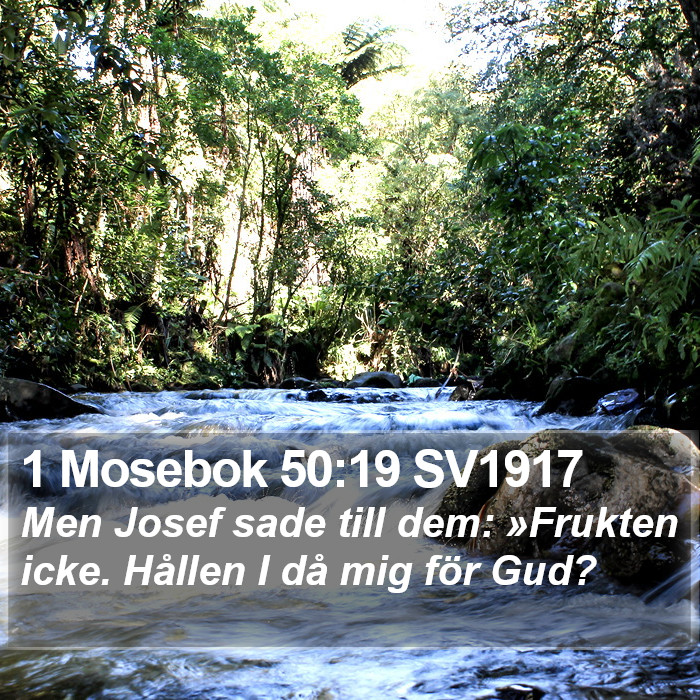 1 Mosebok 50:19 SV1917 Bible Study