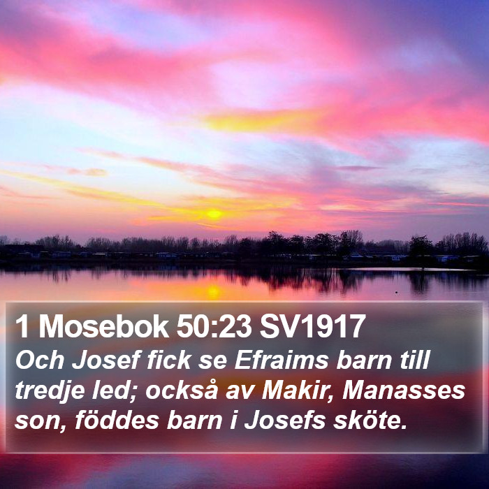 1 Mosebok 50:23 SV1917 Bible Study