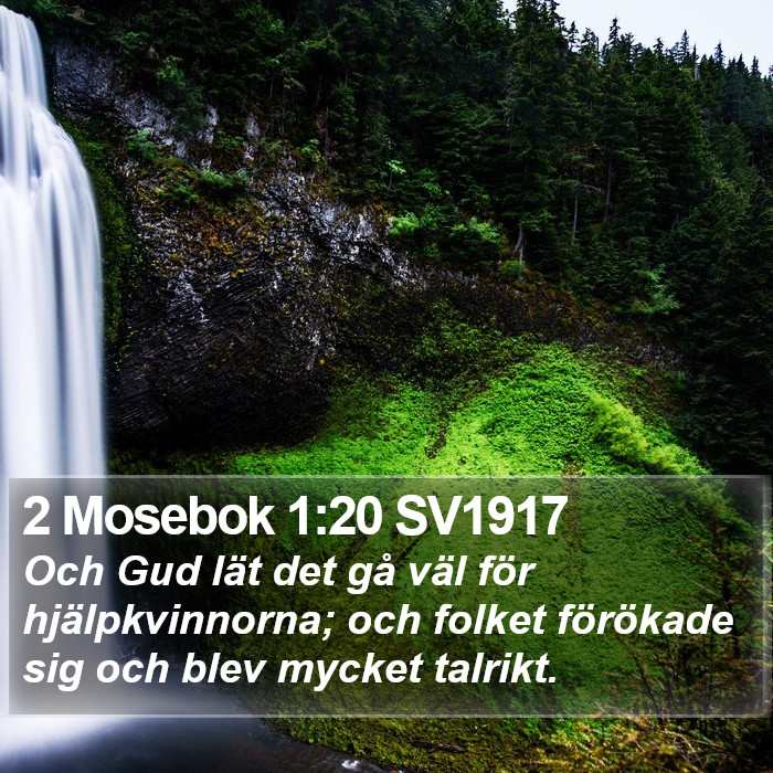 2 Mosebok 1:20 SV1917 Bible Study