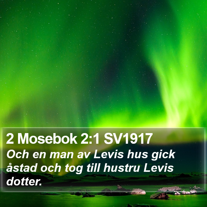2 Mosebok 2:1 SV1917 Bible Study