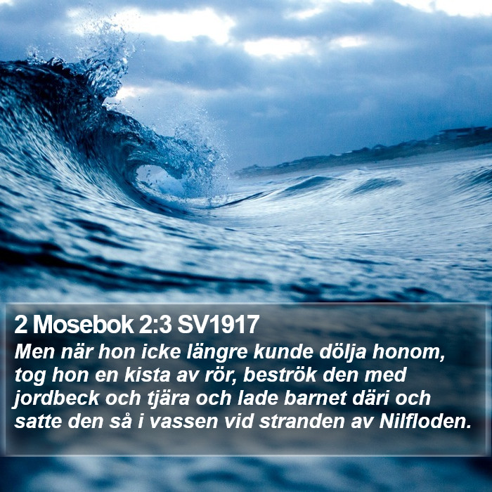 2 Mosebok 2:3 SV1917 Bible Study