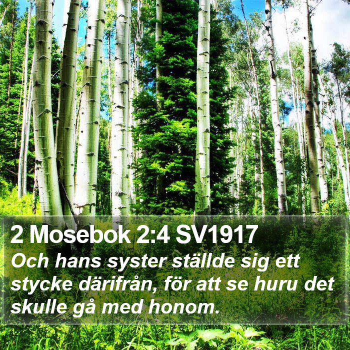 2 Mosebok 2:4 SV1917 Bible Study