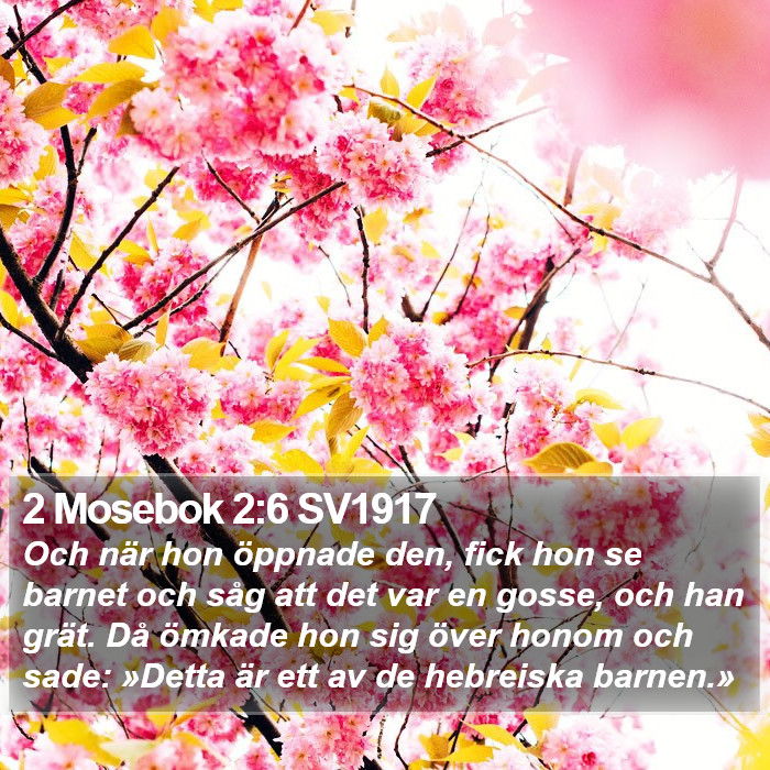 2 Mosebok 2:6 SV1917 Bible Study