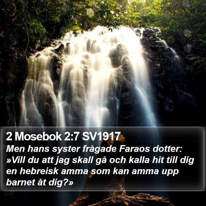 2 Mosebok 2:7 SV1917 Bible Study