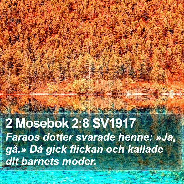 2 Mosebok 2:8 SV1917 Bible Study