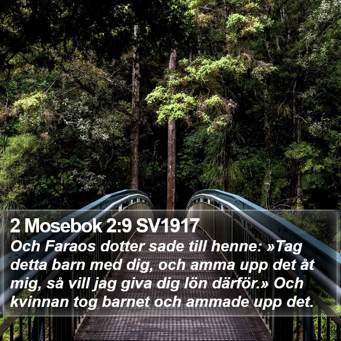 2 Mosebok 2:9 SV1917 Bible Study