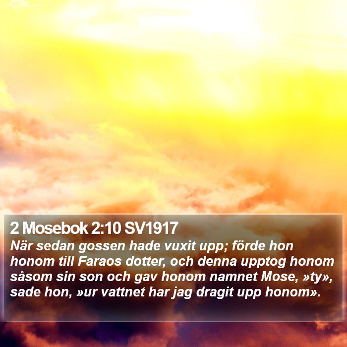 2 Mosebok 2:10 SV1917 Bible Study