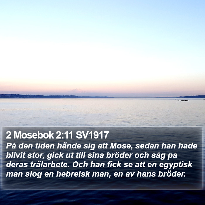2 Mosebok 2:11 SV1917 Bible Study