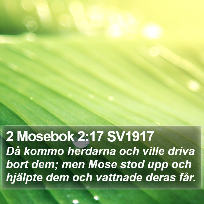 2 Mosebok 2:17 SV1917 Bible Study