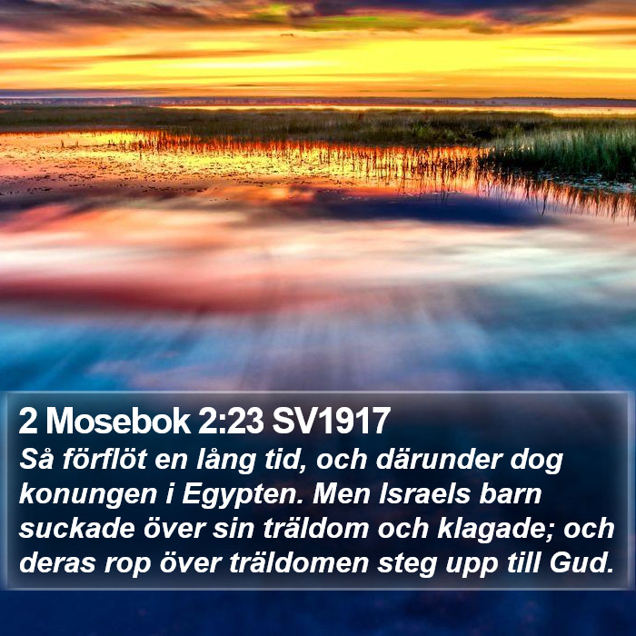 2 Mosebok 2:23 SV1917 Bible Study