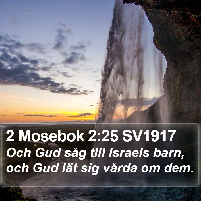 2 Mosebok 2:25 SV1917 Bible Study