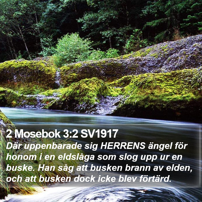 2 Mosebok 3:2 SV1917 Bible Study