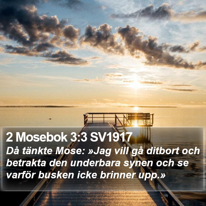 2 Mosebok 3:3 SV1917 Bible Study