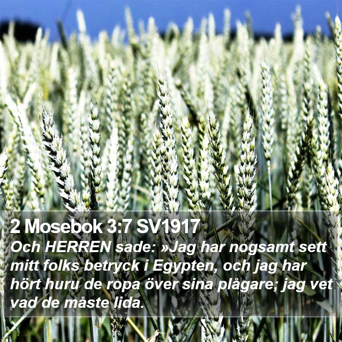 2 Mosebok 3:7 SV1917 Bible Study