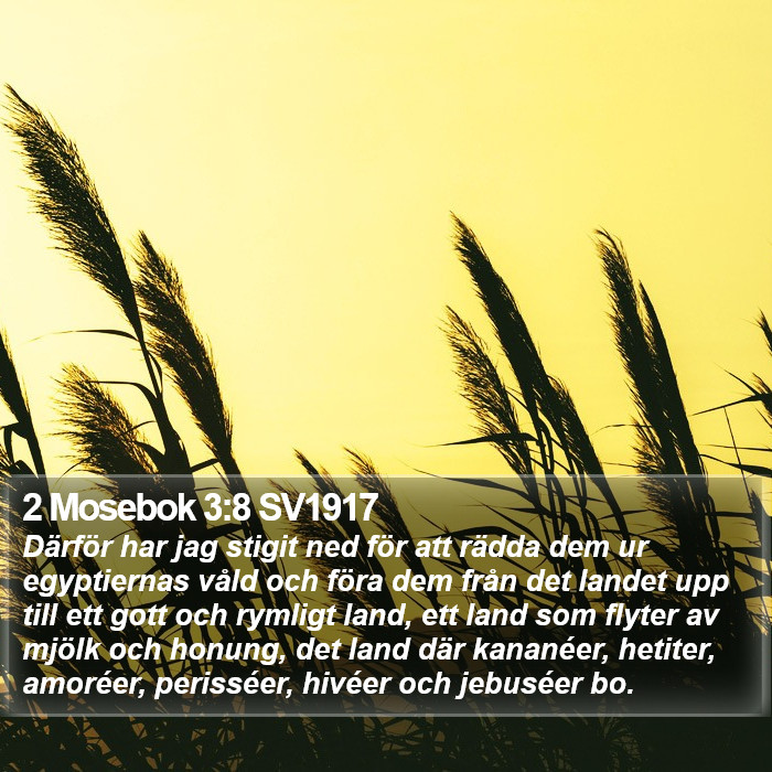 2 Mosebok 3:8 SV1917 Bible Study