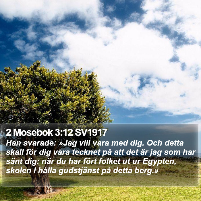 2 Mosebok 3:12 SV1917 Bible Study