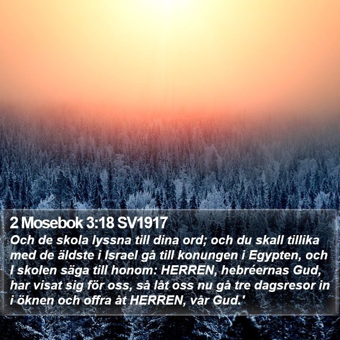 2 Mosebok 3:18 SV1917 Bible Study