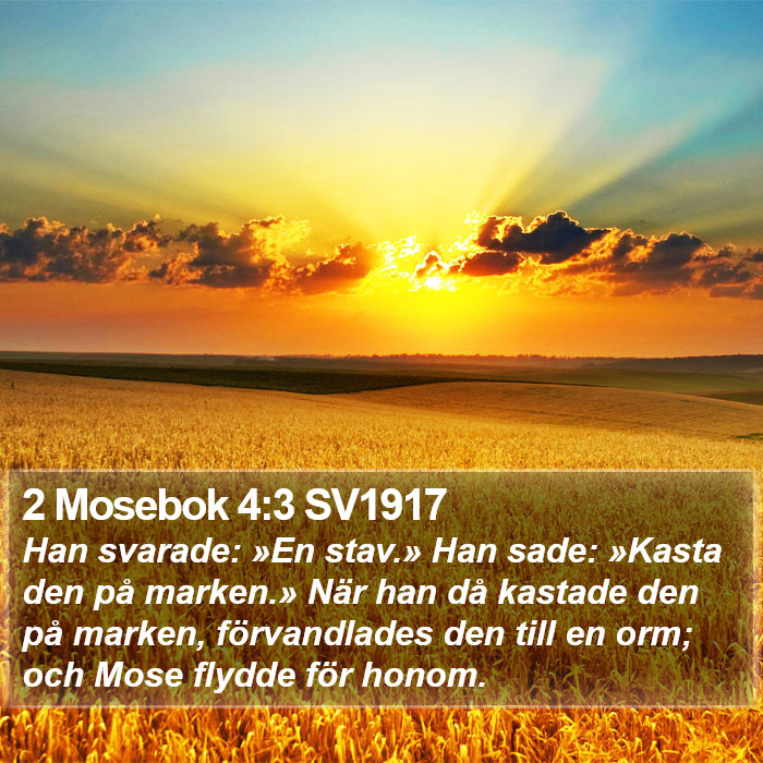 2 Mosebok 4:3 SV1917 Bible Study