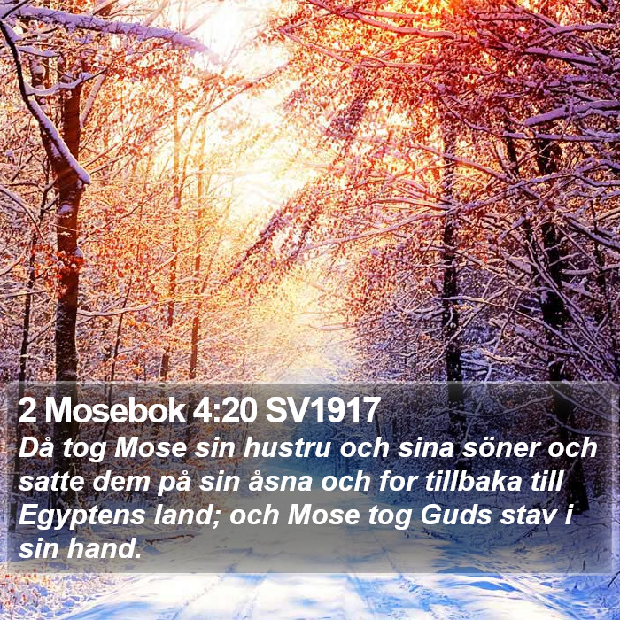 2 Mosebok 4:20 SV1917 Bible Study