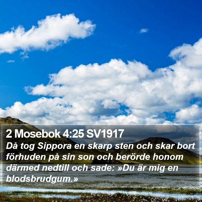 2 Mosebok 4:25 SV1917 Bible Study