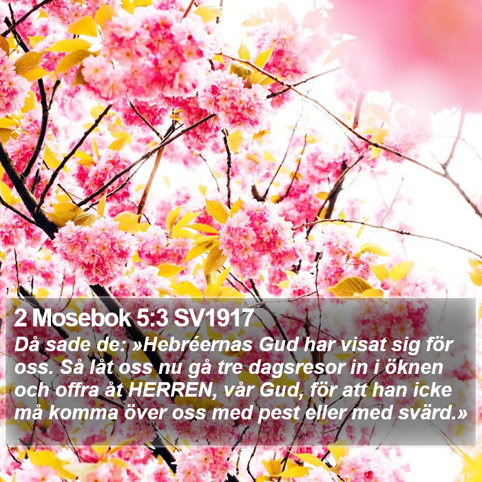 2 Mosebok 5:3 SV1917 Bible Study