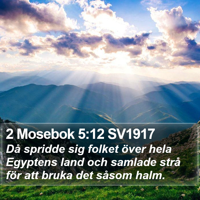 2 Mosebok 5:12 SV1917 Bible Study