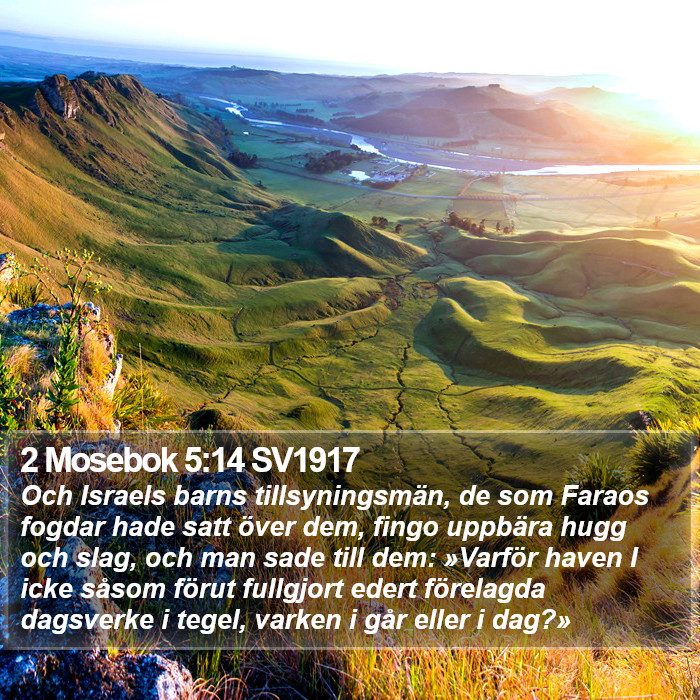 2 Mosebok 5:14 SV1917 Bible Study